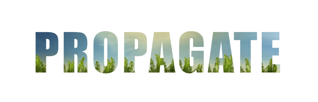 Propagate